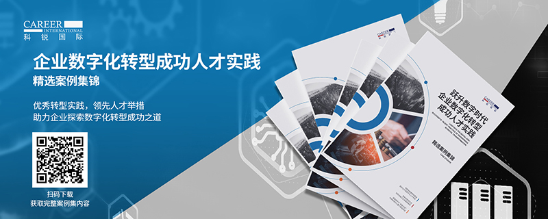 人力资源公司PG 国际的《企业数字化转型成功人才实践》案例集